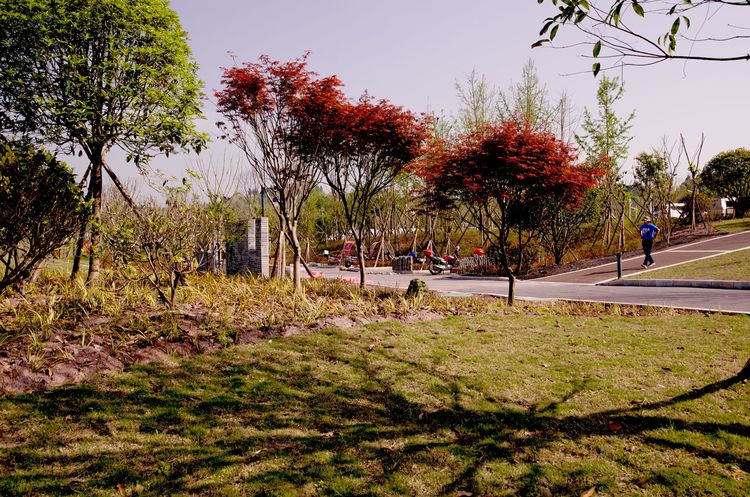 中国城盟控股集团