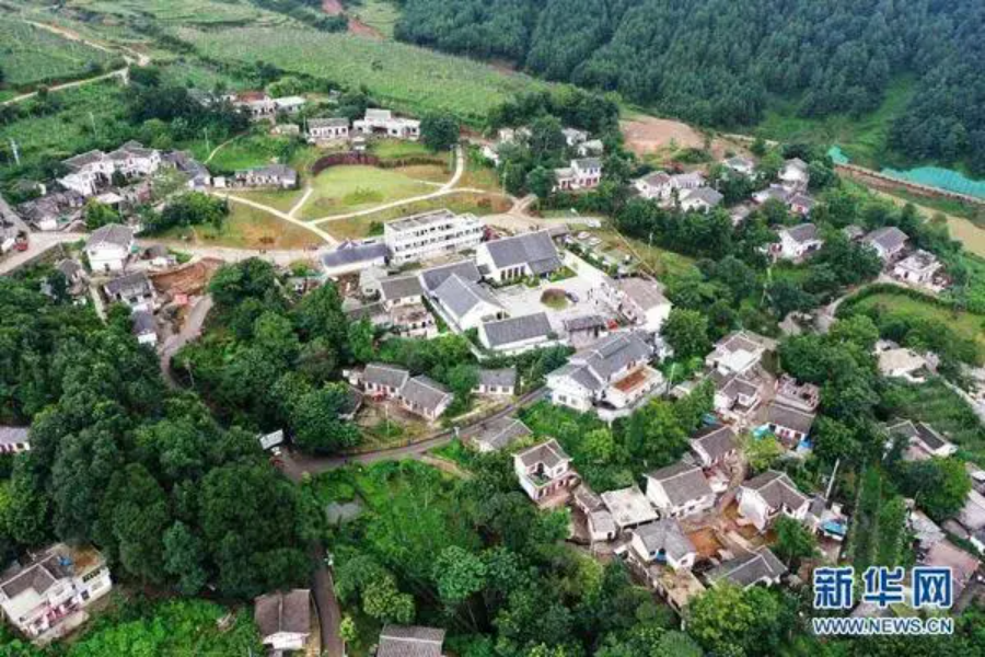 中国城盟控股集团