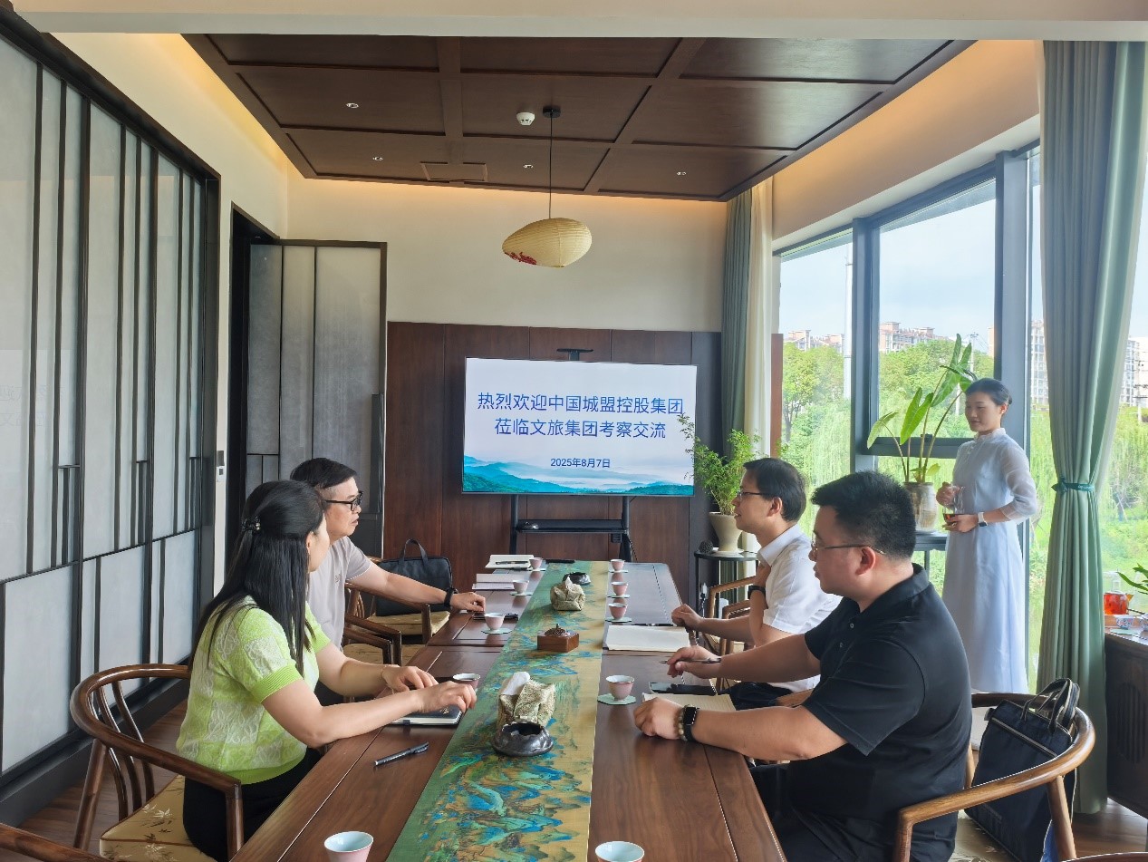 中国城盟控股集团