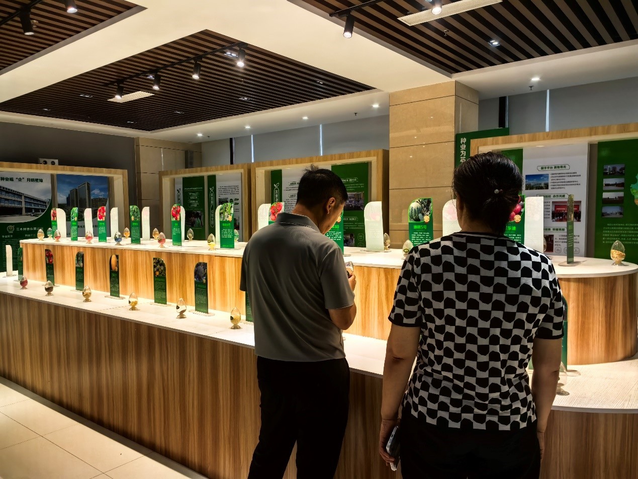 中国城盟控股集团
