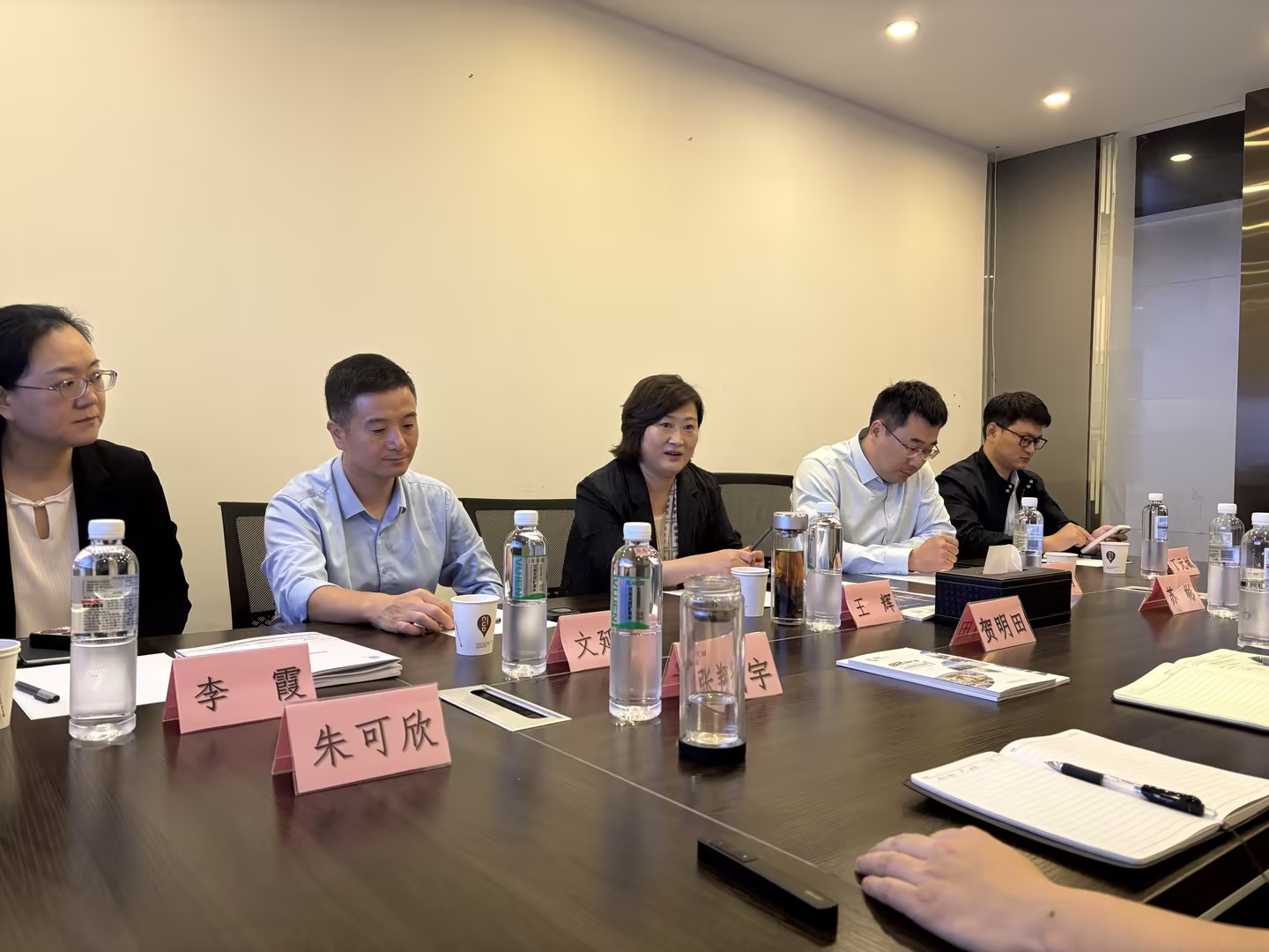 中国城盟控股集团