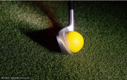 前车之鉴 ，谨以为戒——浅谈平台公司财政化问题