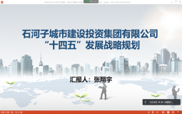 《石河子城投集团 “十四五”发展战略规划》项目顺利通过集团评审