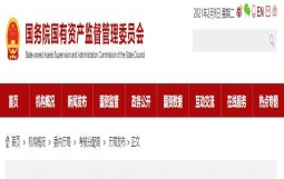 2019年度中央企业负责人薪酬披露（附披露表）