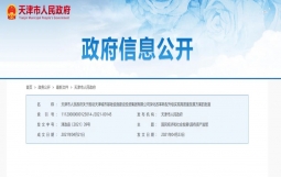 《推动天津城投集团深化改革转型升级发展方案》获市政府批复