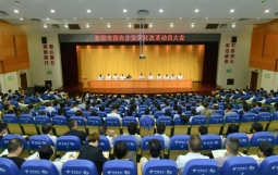 东阳重组城投、交投、水投、资发、金投五大集团，组建产发、文旅两大集团