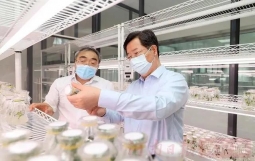 中共中央政治局召开会议 分析研究当前经济形势和经济工作