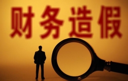 国办发文规范财务审计秩序！将对财务造假精准打击