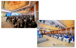 上海市-新疆建设兵团第八师石河子市高质量发展推介会