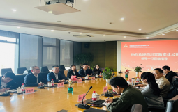 四川遂宁市国资国企高质量发展咨询服务项目