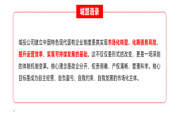 【原创】城投公司“十五五”战略发展研究专题｜肆·管理篇